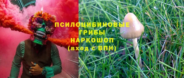 гашик Кукмор